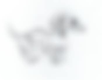 Dackel (preview)