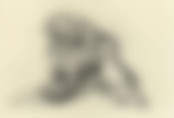 Hund (preview)