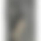 Bretonne (preview)