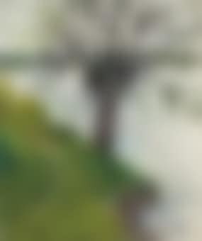 Saule au bord de la rivière (preview)