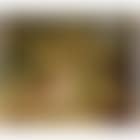 The deer stealer (preview)