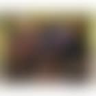 The park bench (preview)