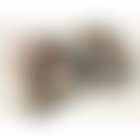 Indolence - The artist's wife, Sarah Kramer (preview)