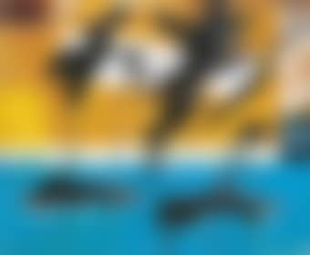 Abstract (preview)