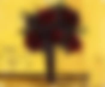 Bouquet de roses (preview)