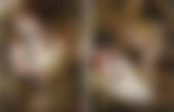 Flora unveiled by Zephyrs; and Vertumnus and Pomona (preview)