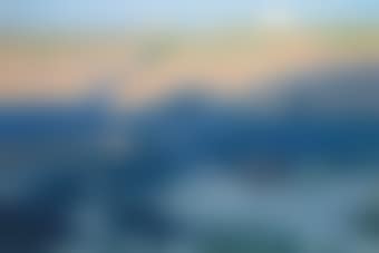 The Golden Shore (preview)