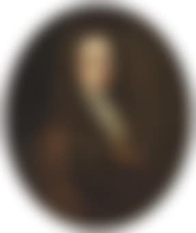 Portrait of a gentleman, half-length, in a brown robe and white cravat (preview)