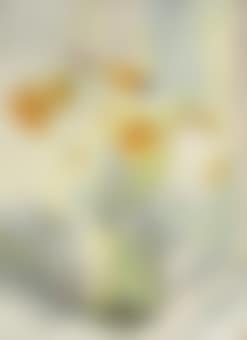 Flowers in a Jam Jar (preview)