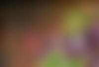 Stilleben mit Veilchen (preview)