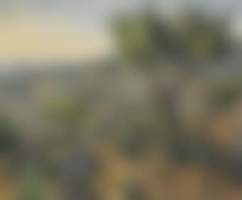 Paysage (preview)
