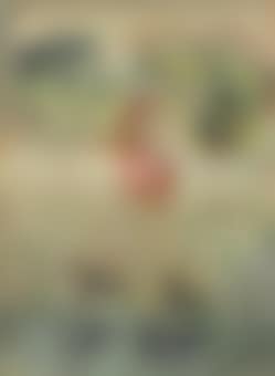 Traum (preview)