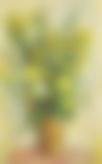 Vase de fleurs (preview)