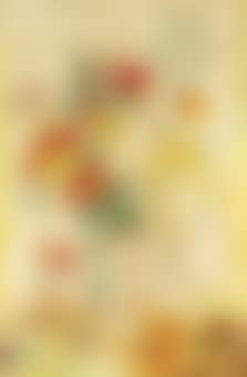 Les Poppies (preview)