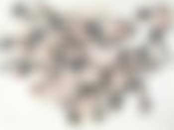 Noses and eyes (preview)