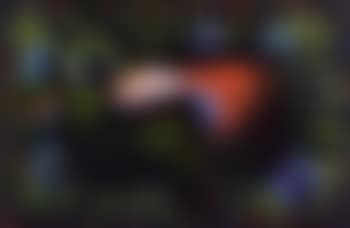 Asleep in the flowers (preview)