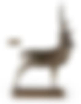 Cerf (preview)