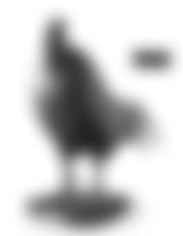 Coq Dormant (preview)
