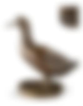 Canard (preview)