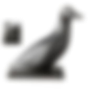 Canard Sur L'eau (preview)