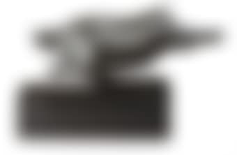 Sanglier (preview)