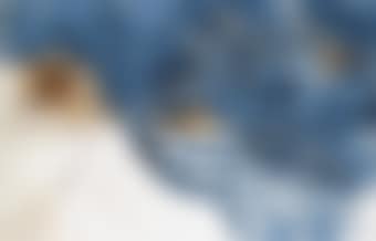 Untitled (Portugal Series) (preview)