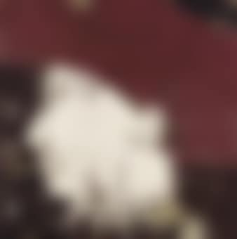 Retrato de un Joven (Masaccio) (preview)