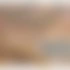 Beach at Manicahan (preview)