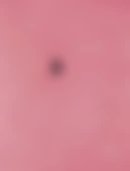 Concetto spaziale (preview)
