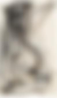 Figura (preview)