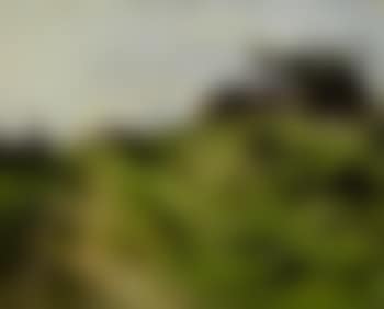 Aufsteigender Weg mit Blick zu Hausdachern hinter Anhohe (preview)