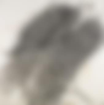 Pressione (preview)