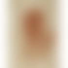 Portrait of a Chinese dignitary (preview)