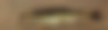 La truite (preview)