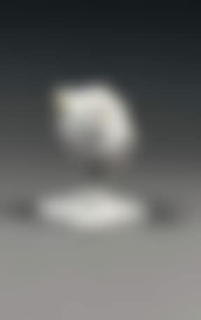 Tete de lion (preview)