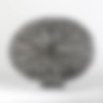 Untitled (Bush form) (preview)