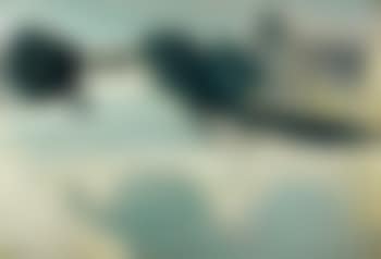 La Seine a Paris (preview)
