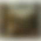 The Whitsun bride (preview)