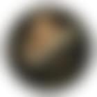 Portrait of a man, bust length, in profile (preview)