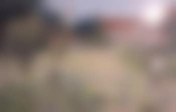 Scene de fenaison (preview)