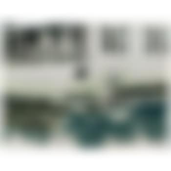 Untitled (Camp Forestia) (preview)