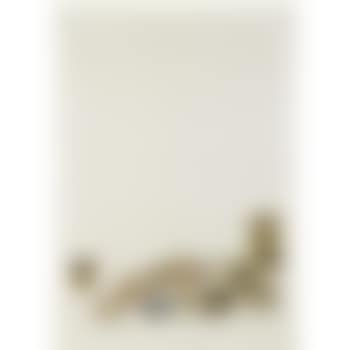 Untitled (preview)