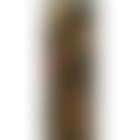 Study of a Roman hero or martyr holding a lance, possibly Longinus (preview)