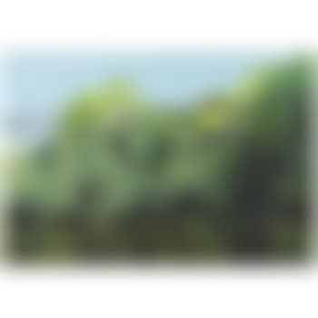 St. James (preview)