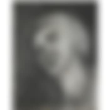 Head of Seedo II (preview)