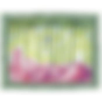 Terrasexa (preview)