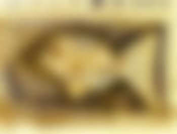 Poisson (preview)
