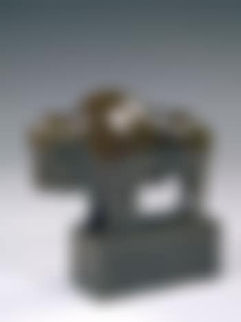 Bison americain (preview)