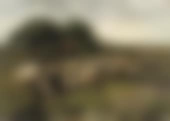 Sheep near a stream (preview)