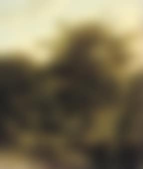 A sportsman and woodgatherers in the forest (preview)